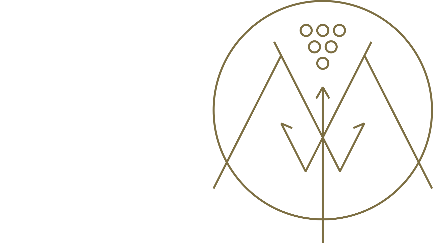 Logo MEURER Wort und Bildmarke weiss
